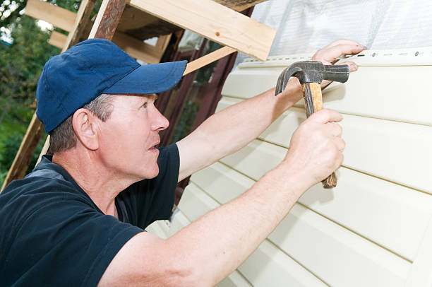 Best Steel Siding Installation  in Emmetsburg, IA