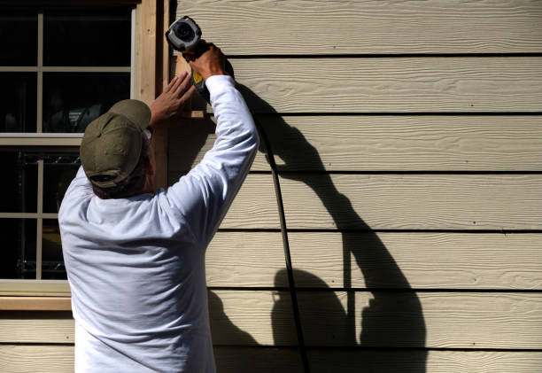 Best Brick Veneer Siding  in Emmetsburg, IA