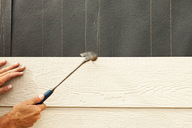 Best Custom Siding Design  in Emmetsburg, IA